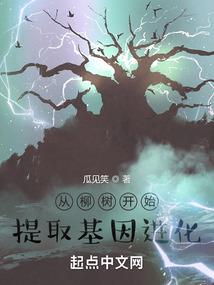 没有一场流星雨