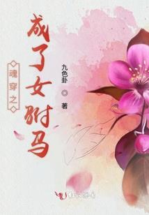 在龙的世界里
