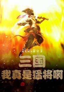 岁月爬上凌岚楼
