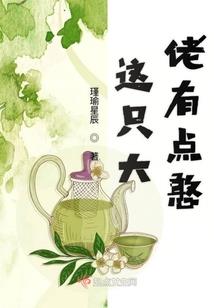 我的完美女上司