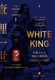 木叶之暗黑时代