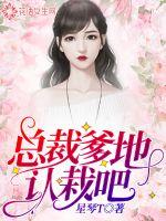 重生契约之晶