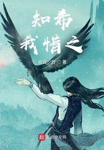 总裁，请你放手