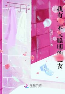 光明圣史传