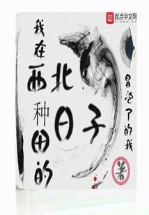从小偷到刺客之王