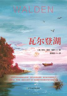摄政王的小祖宗太野了