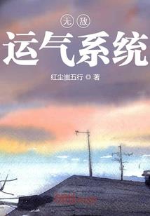 夜狸猫古城
