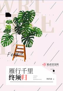 寒冬盛开的雪翎花