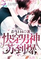 暖心王爷追妻记