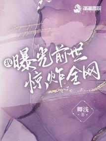 冰狼之石