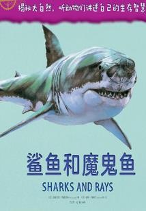 重返人生2012