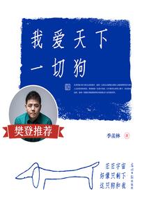 星星的月亮