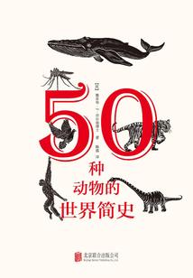 钢铁守护之魂