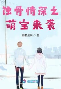 少年次元师