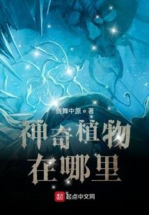 佛祖修仙传