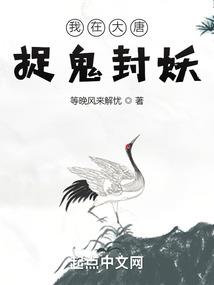 无界天仙