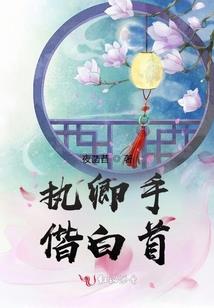 星空海贼王