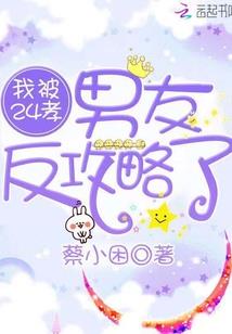 王后从军记