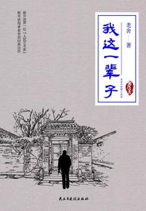 倾世年华七小姐