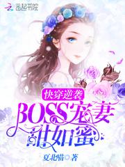 斗罗大陆之冰恋梦情
