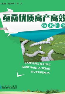 幻世六道之人间道
