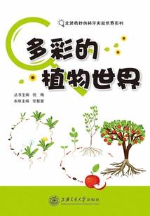 卧底女杀手