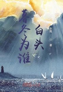 十字蔷薇骑士