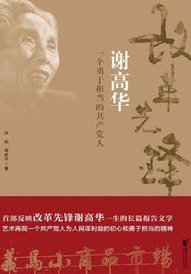 千面斗罗为爱发电，武魂邪火凤凰