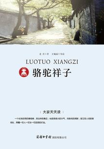 我的便宜老公是顶流