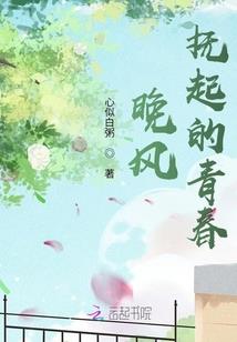 周计划战记