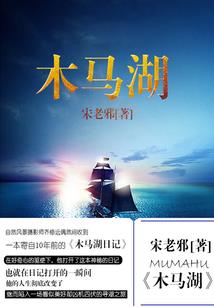 往生记：往生仙君