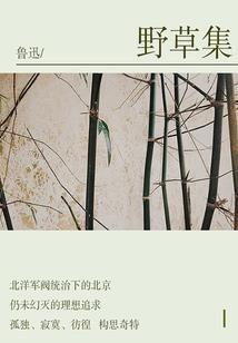 黑暗公主乖乖牌