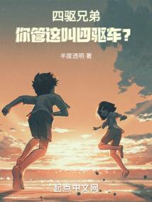 医锦佳人之圣女天下