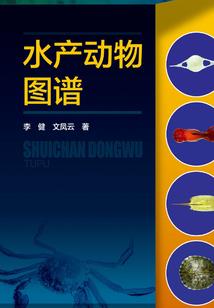 重生之秘境逍遥