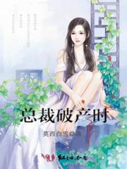 小楼剑侠传