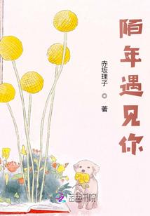 真实的陌生人