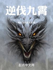 攻略指南崩了剧情