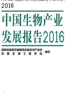 平凡的改造师