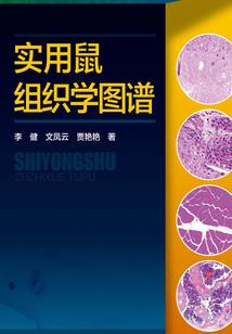 凌霄志，浮生主