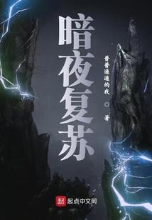北美枪侠警探