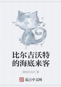 口袋妖怪冠军之征