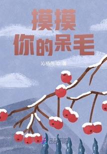 冠军的征途