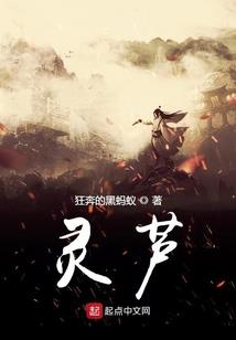 末来光脑系统