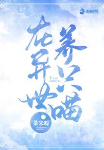 乞丐人生