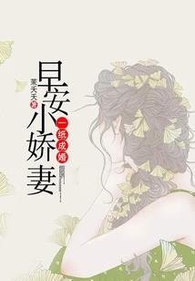 华夏之此夜永寂待月明