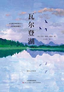 仙剑奇侠传柔情版