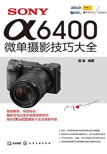 陆先生情深成疾