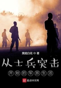 新木偶奇遇