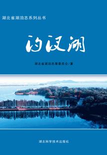 人在奥特开局签到黑暗火花棱镜