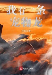 有钱人的生活